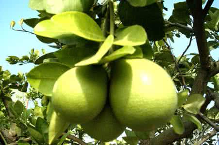 爱游戏体育电竞案例展示一