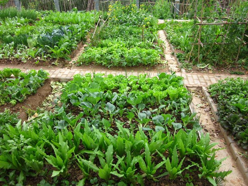 爱游戏体育电竞案例展示五