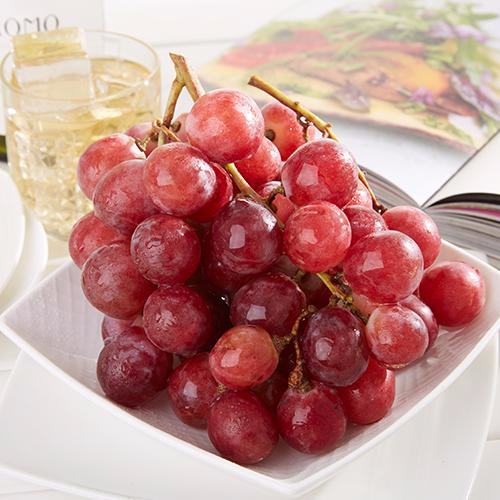 爱游戏体育电竞产品名称五